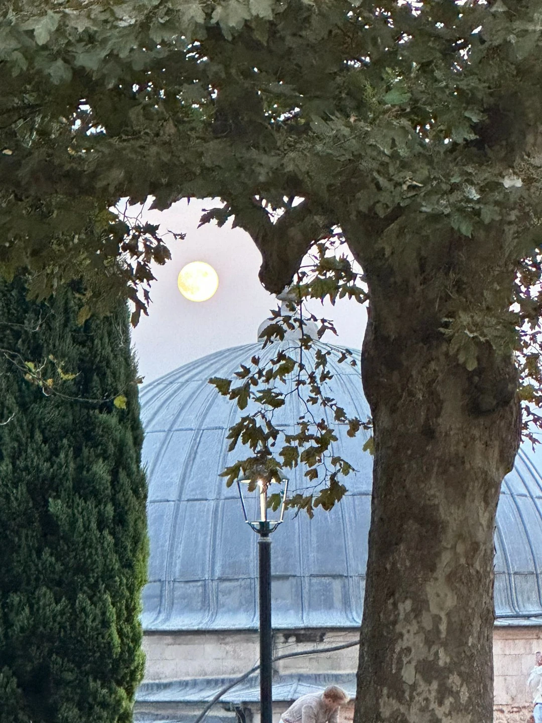 С большим удовольствием оставляю отзыв на тур Екатерины. Наш отпуск получился замечательный, впечатления остались самые положительные.