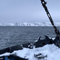 Фото отзыва 1: экскурсия "Териберка и морская прогулка за 1 день!"