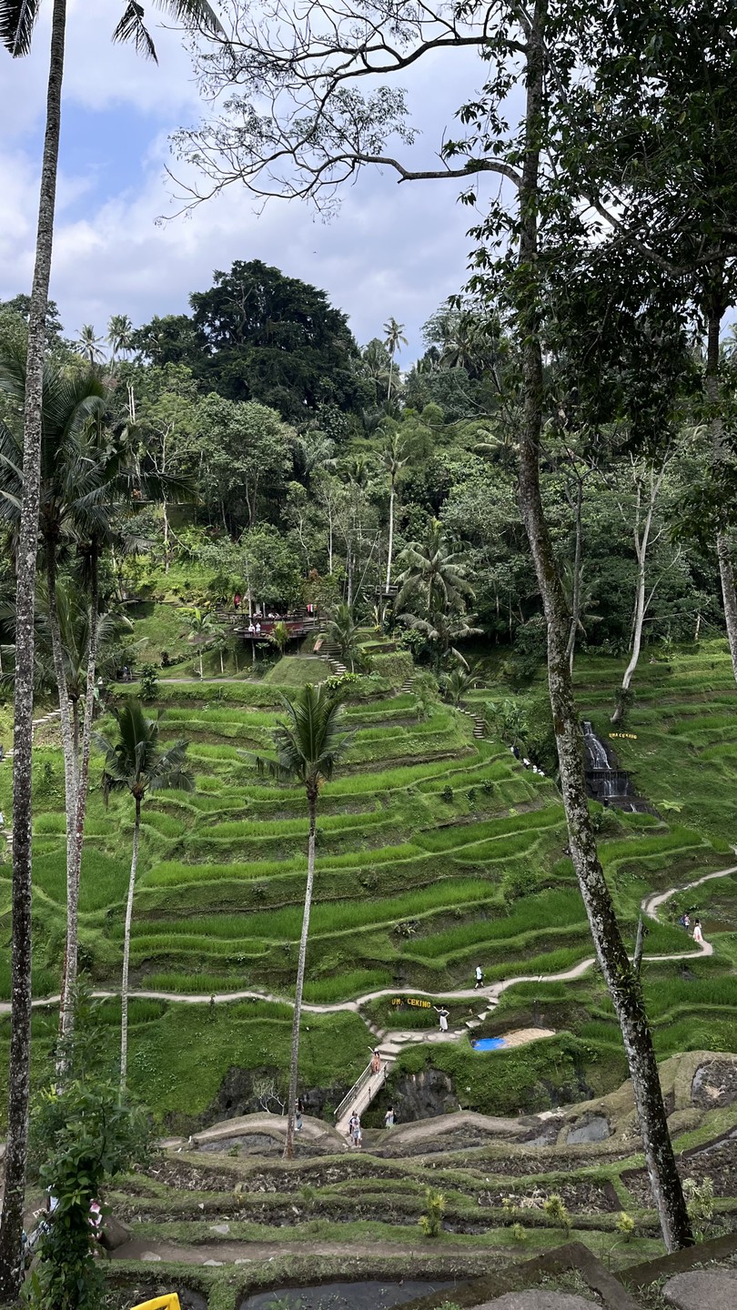 Экскурсия была потрясающей! Ваян чудесный рассказчик и веселый человек! Отлично говорит по-русски. Экскурсия не оставила нас