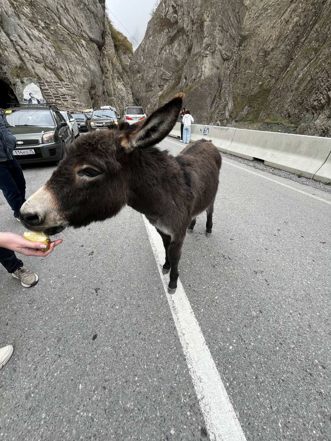 Долго выбирали экскурсию по Осетии. Остановились на этой «древняя и прекрасная Осетия». Не ошиблись!