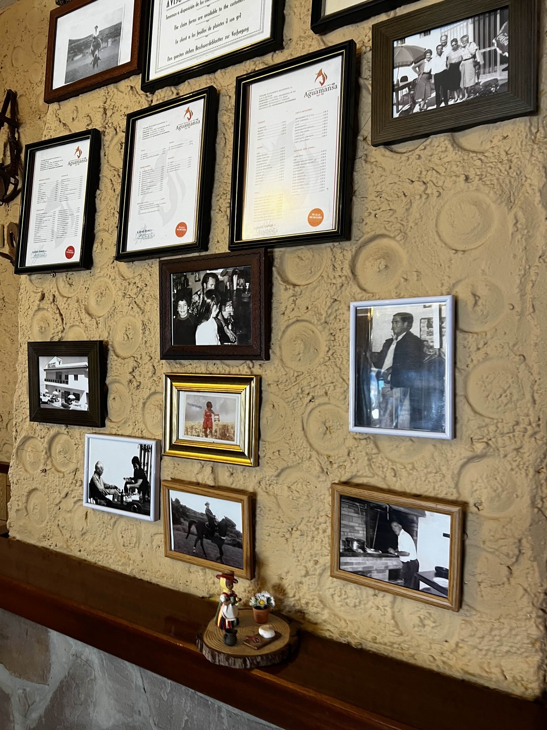 Лоро парк и вулкан Тейде: погружение в природу Тенерифе (Uladzilsau)