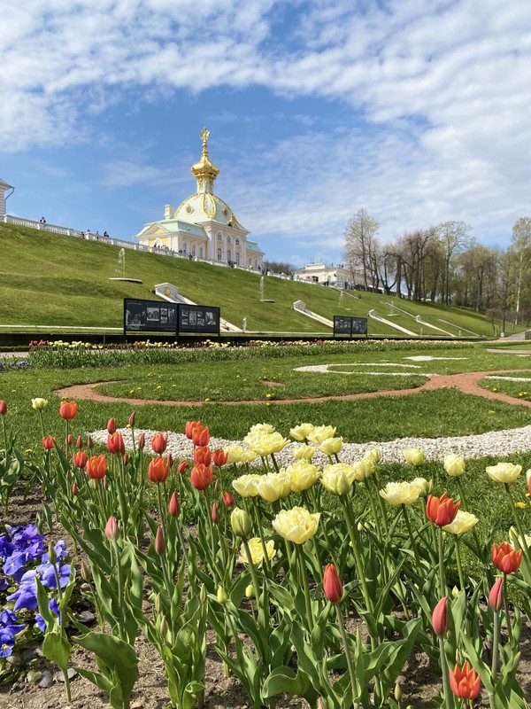 Фото к экскурсии Царство Нептуна в Петергофе: прогулка по Нижнему парку