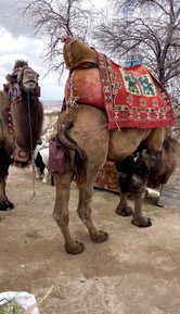 Фото отзыва 6: экскурсия ""