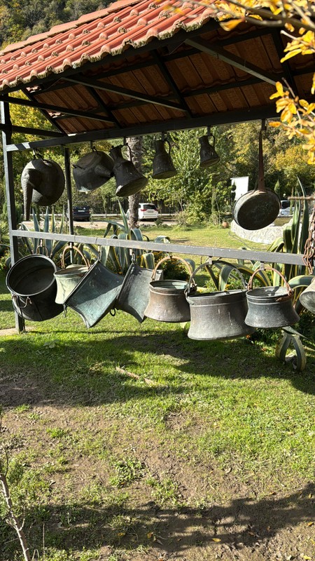 Новый Афон, Гагра, Сухум за 1 день (с трансфером из Адлера)