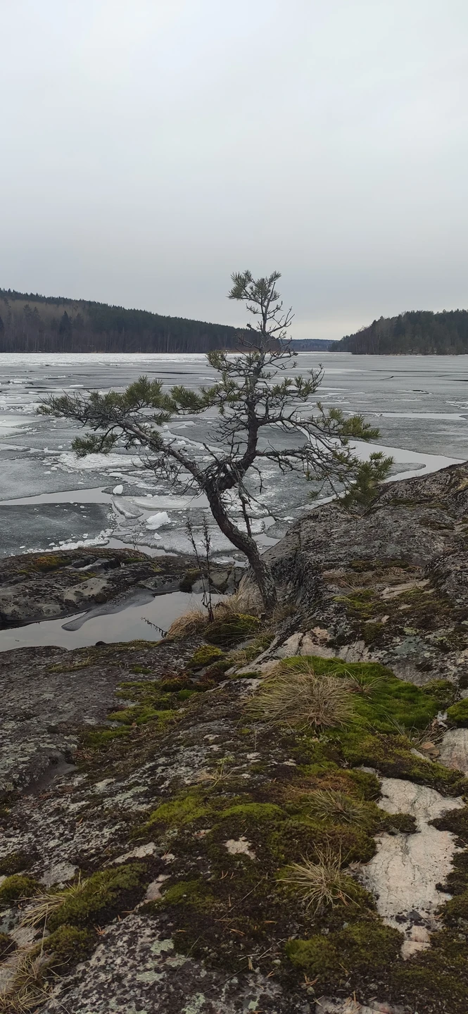 По ладожским шхерам круглый год - на аэролодке (Екатерина)