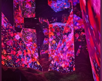 Серебряный Павильон, музей TeamLab, ворота тории, район гейш Гион