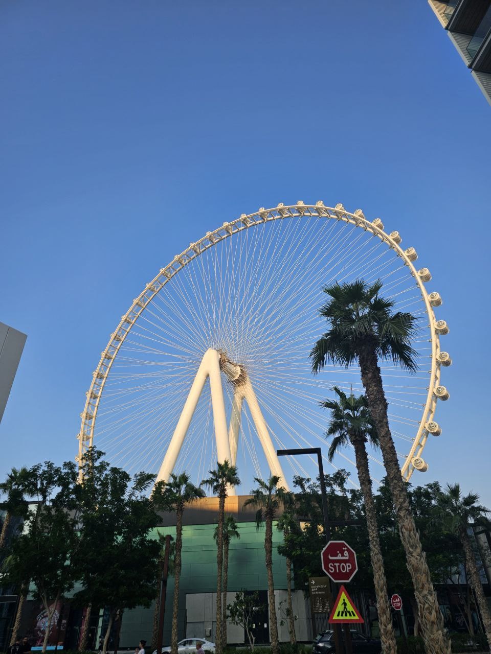 Эта экскурсия "Многогранный Дубай: насыщенный день в мегаполисе" с Анатолием (Дониёр был занят и экскуриию провел