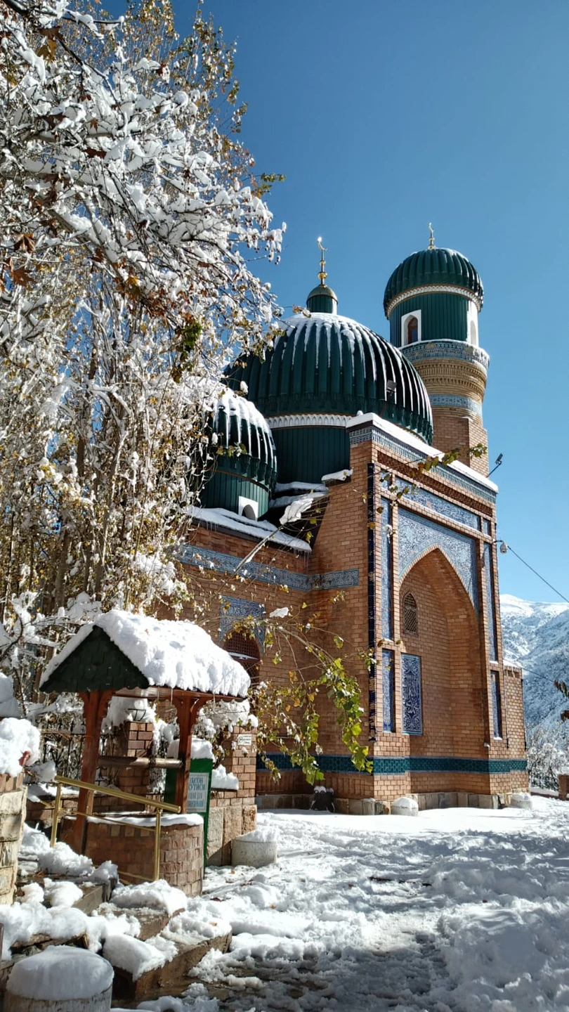Экскурсия в Институт Солнца, Мечеть Хазрат Али Бува и на винодельню была потрясающей