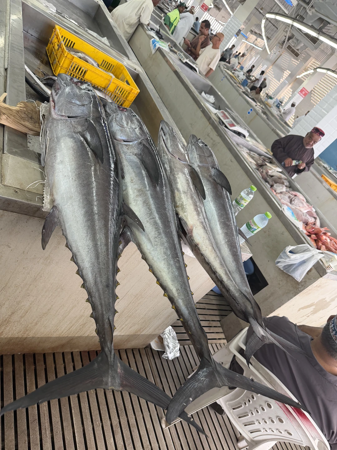 Ездили на обзорную экскурсию по Маскату с Данилой, сразу скажу, что остались очень довольны выбранным туром