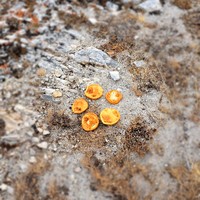 Фото отзыва 1: экскурсия "Ольхон — жемчужина Байкала (из Иркутска в мини-группе)"