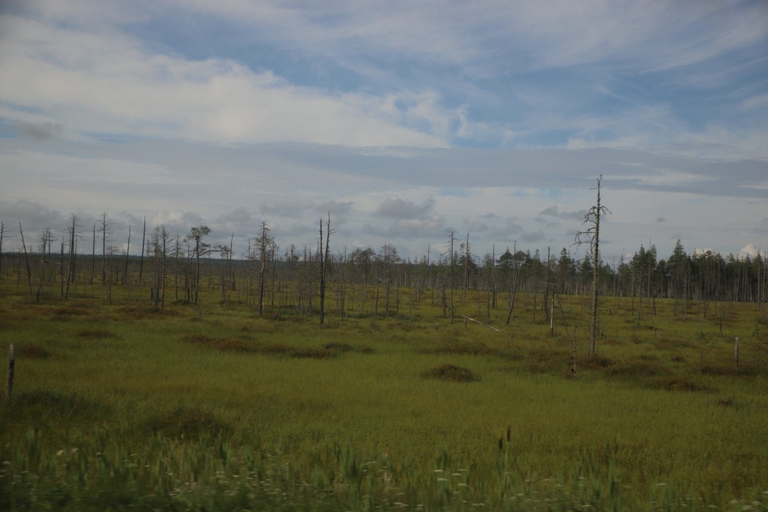 Прокатились с ветерком!
