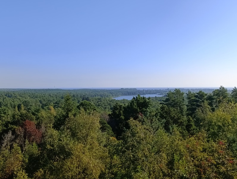 Виды Знаковые места Куршской косы