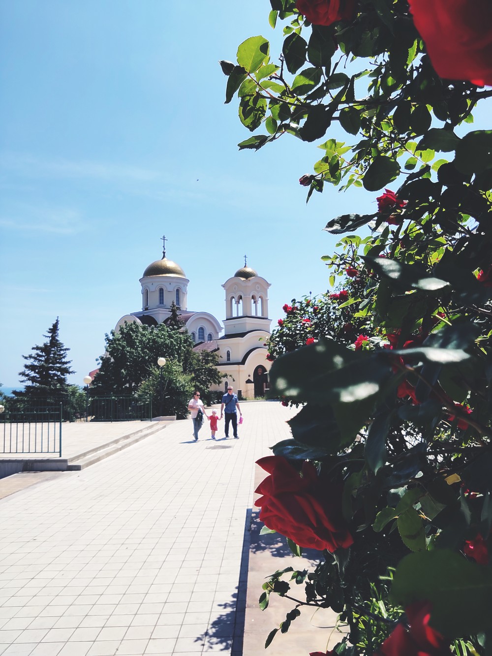 Главное изображение экскурсии - Многогранный Новороссийск и винодельня «Мысхако»