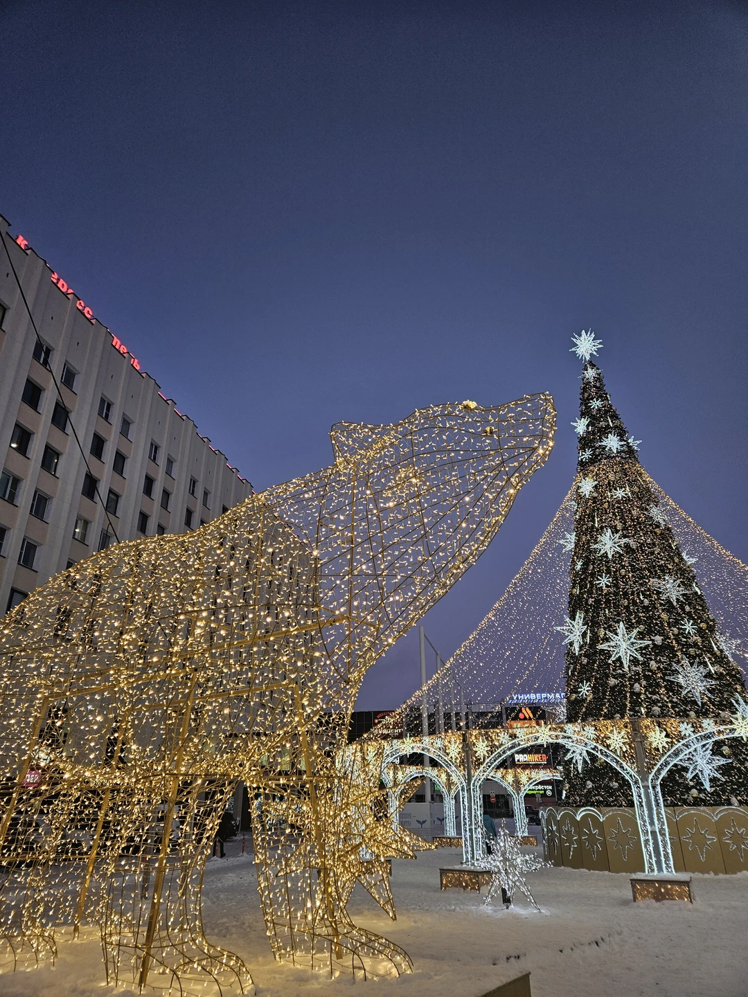 Это незабываемые впечатления. Огромное спасибо Геннадию за познавательную экскурсию по Мурманску! Продолжительность 5 часов машина/ пешая