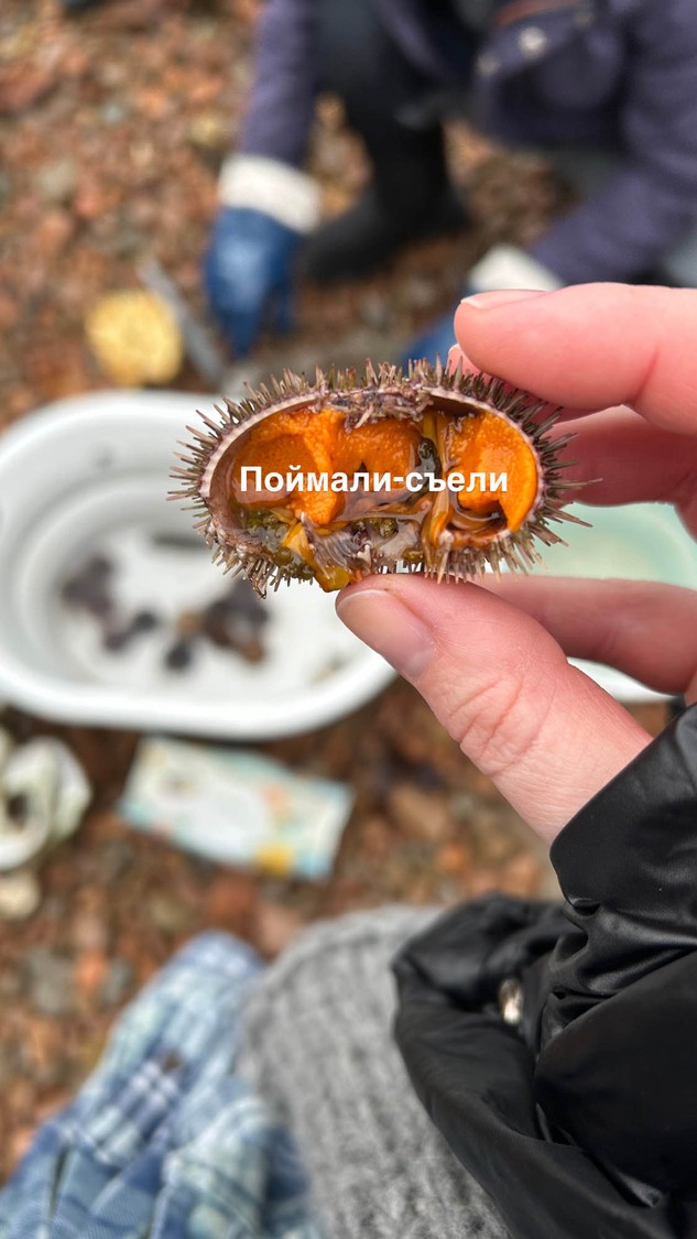 Классно провела время в красивой природе - это то, зачем я взяла эту экскурсию.