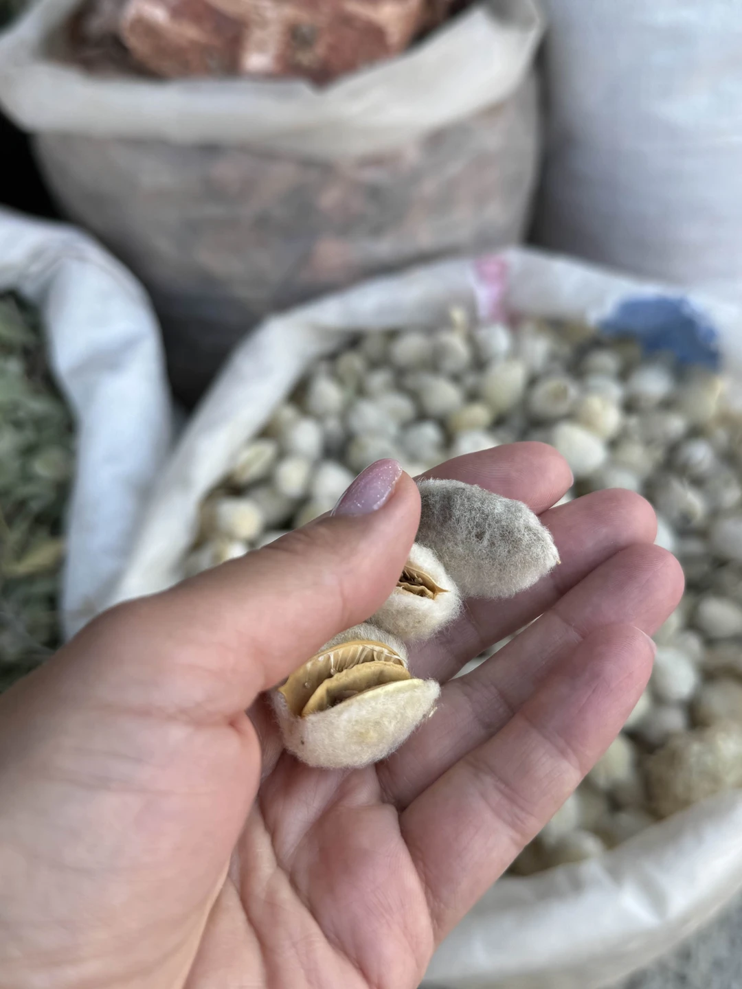 Мы очень довольны поездкой с гидом Бахтийором!