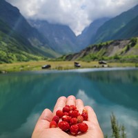 Отзыв о экскурсии "Лучшее в Северной Осетии: ущелья, древности и высокогорные селения" — фото 1