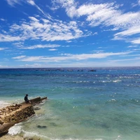 Фото отзыва 1: экскурсия "Удивительный остров Себу: китовые акулы и чудотворная Симала"