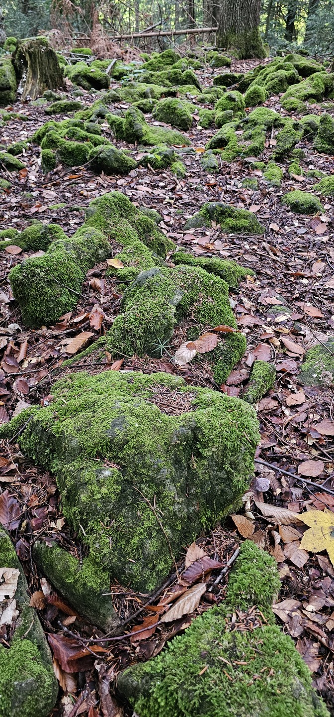 Из Краснодара - в горную Адыгею (Елена)