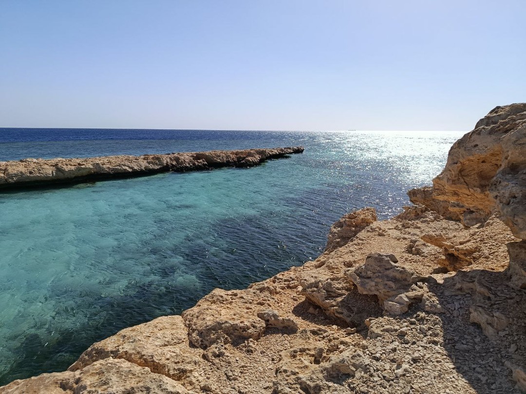 Отличный день в компании с Мустафой. Экскурсия по заповеднику, коралловая стена, которую не увидеть без сопровождения