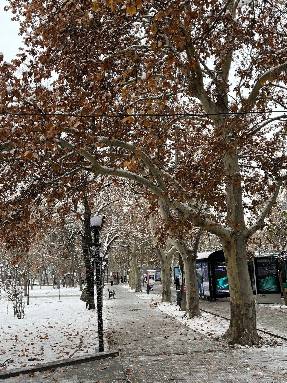 Душевный Ереван - групповая прогулка с местным жителем (Ольга)