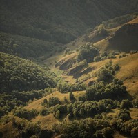 reviews img