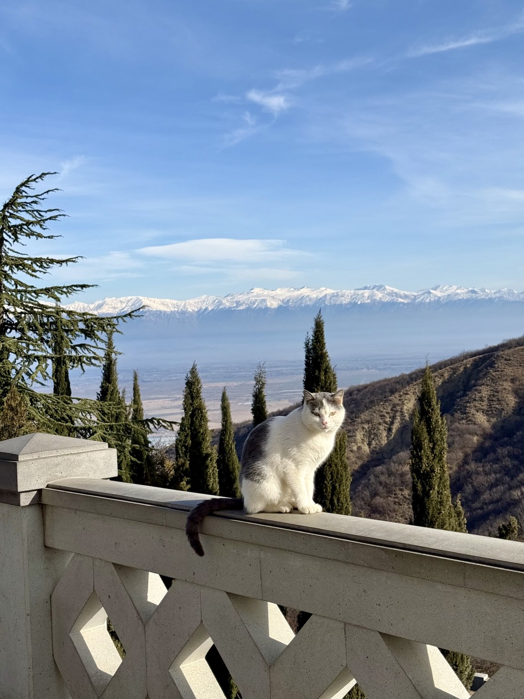 Спасибо большое Татьяне и Спартаку за чудесный день! Комфортная поездка на машине, интересно рассказали про Грузию