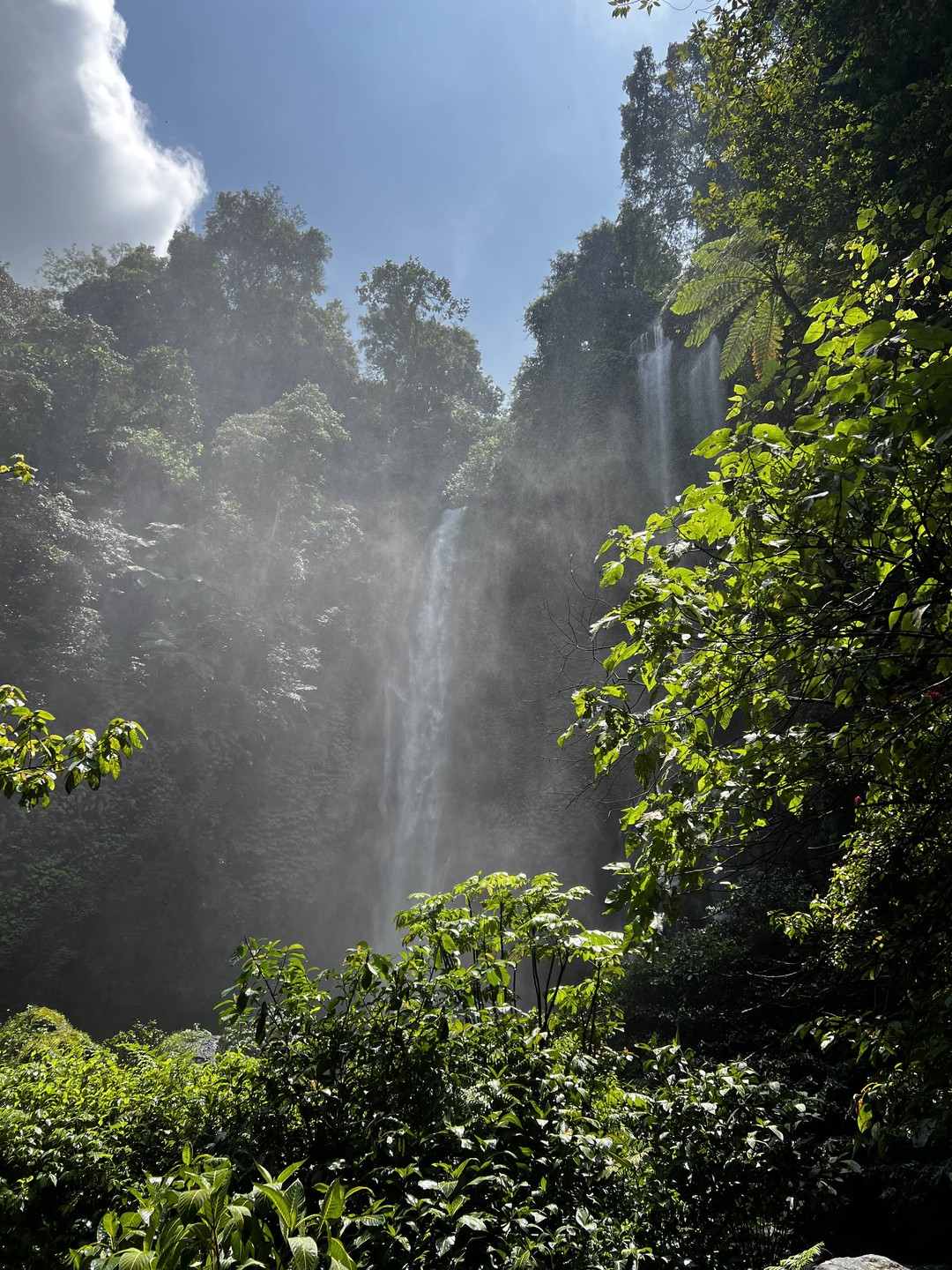 Необычные места Бали (Татьяна)