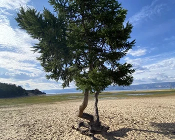Исследуем Ольхон: залив Загли, мысы Хоргой и Бурхан, урочище Песчаное и мыс Хобой