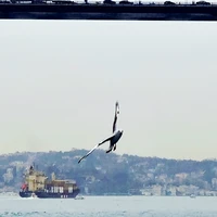 Фото отзыва 3: экскурсия "Знакомство со Стамбулом: Старый город + прогулка по Босфору"