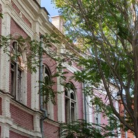 Фото отзыва 5: экскурсия "Влюбиться в Астрахань за 2 часа!"