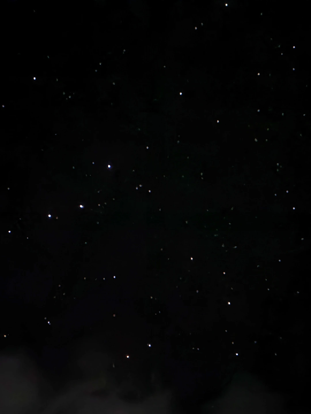 Для меня это была не просто экскурсия. Это был мой способ отпраздновать юбилей (55 лет), встретить