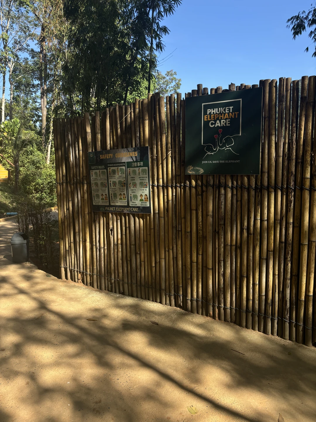 Очень крутое место. Видно, что за слонами ухаживают. Слоны очень красивые и добрые. Кормили, мазали глиной