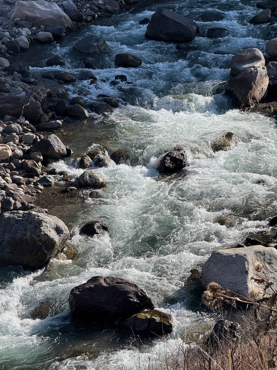 Настоящий восторг и море эмоций 😍