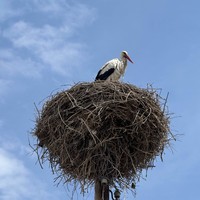 reviews img