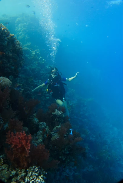 Идеальное первое погружение! С Вадимом было очень спокойно и приятно, и мне и сыну. 2 места