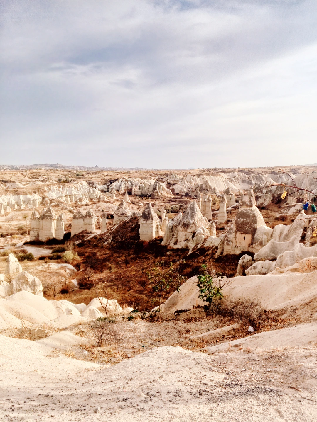 Спасибо за экскурсию,все было отлично организовано,отличная команда работает,хоть так и не удалось полетать на шаре,все равно