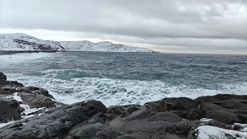 Лучшие моменты наедине: индивидуальная экскурсия в Териберку с комфортом и без спешки (Анастасия)