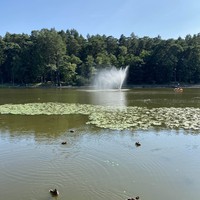 Фото отзыва 3: экскурсия "Светлогорск: сладкая жизнь на берегу моря"