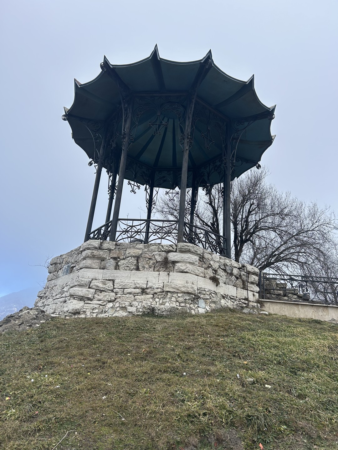 Дорогая Татьяна