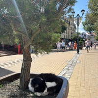Фото отзыва 1: экскурсия "Очаровательные Светлогорск и Зеленоградск"