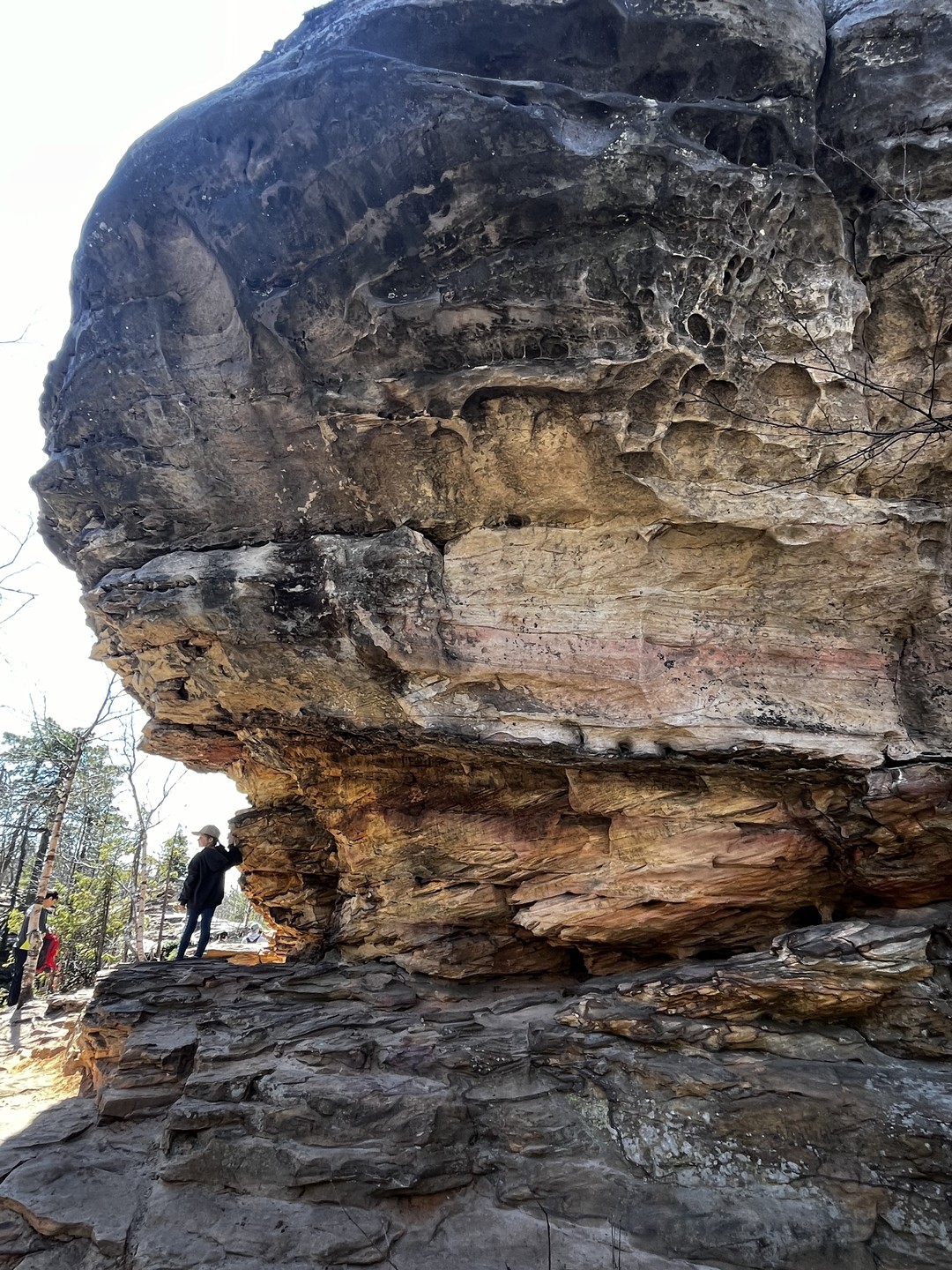 2 в 1: Каменный город и Шумихинские скалы (Лилиана)
