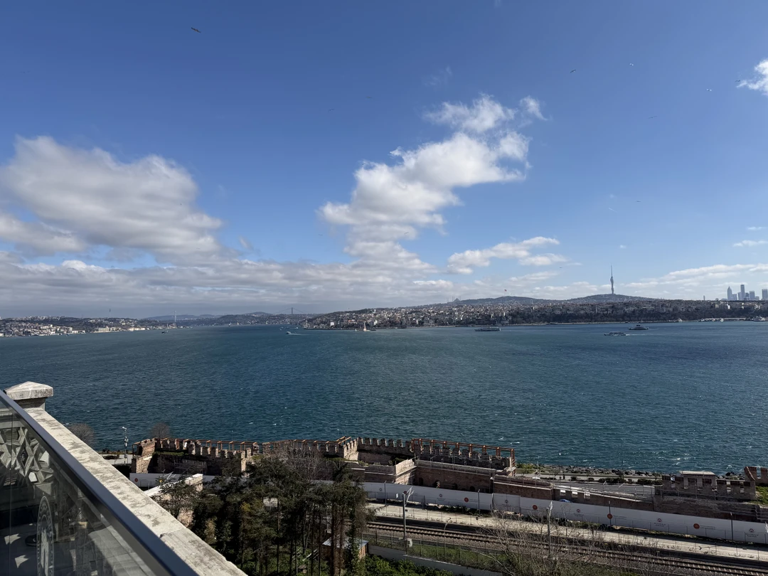 Мы остались под приятным впечатлением от этих чудесных трех дней в Стамбуле! Мустафа помог с организацией