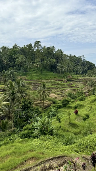 Нашим гидом во время путешествия был Абу. Очень приятный и интересный собеседник, разбирается в Балийской культуре