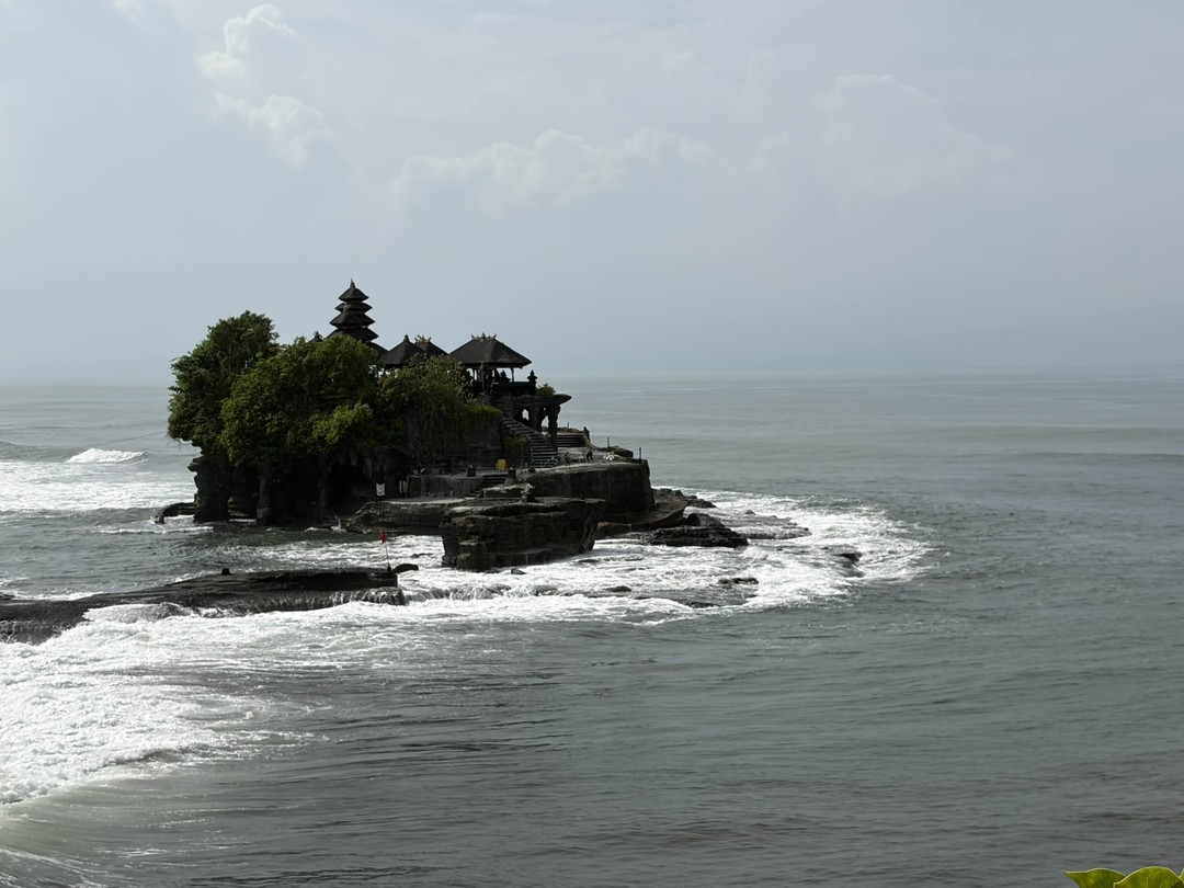 Все четко! Получили массу впечатлений несмотря на ливень. Обезьяны стащили только пакет к орешками и бананами