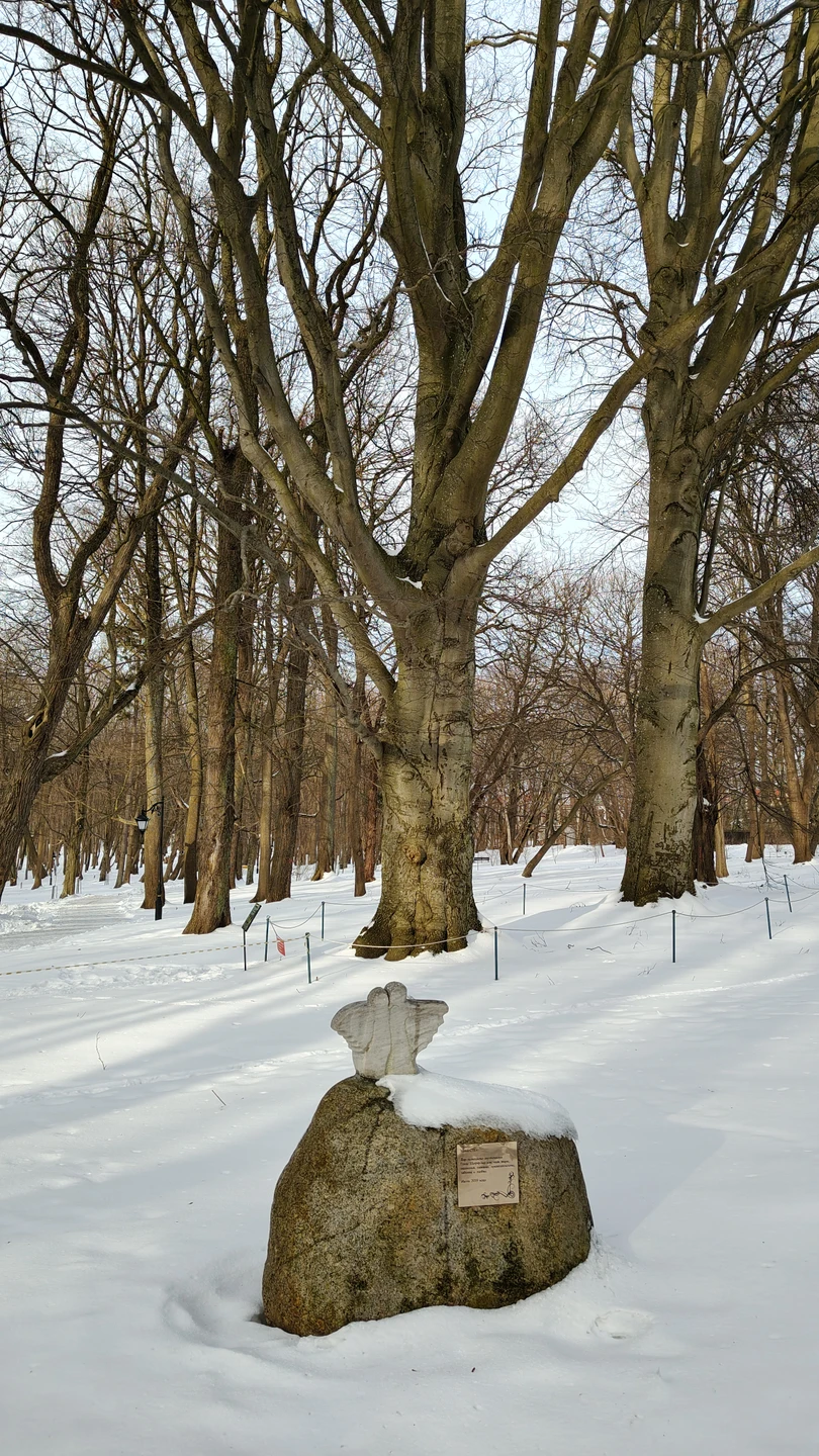 9 часов экскурсии на одном дыхании благодаря нашим экскурсоводам