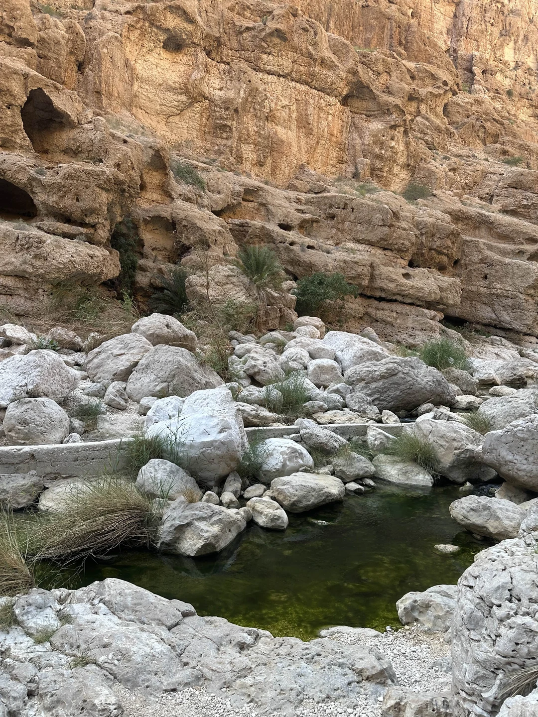 Поездка в сказочный оазис - Вади-Шаб (Zafar)