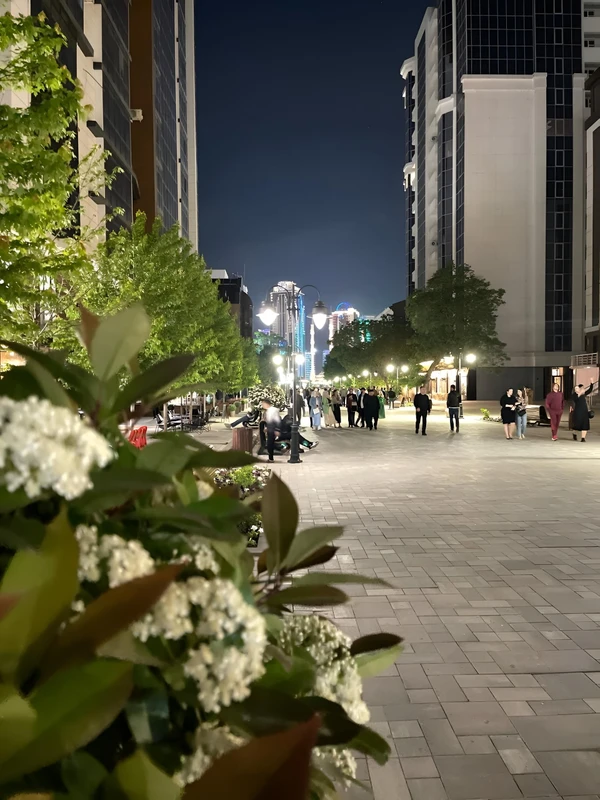 Грозный на уютной прогулке с местным жителем