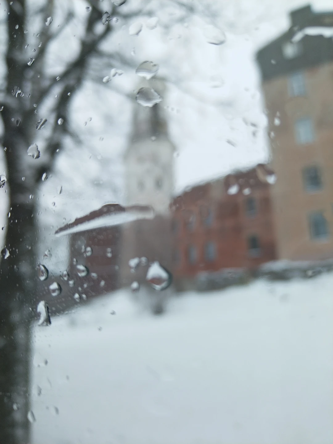 Знакомство с Выборгом: автобусный маршрут с аудиогидом (Ксения)