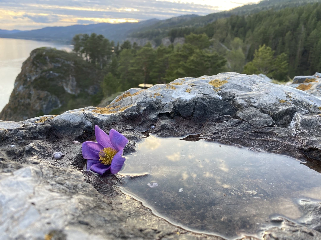 За время моего почти двухнедельного пребывания в Красноярске на майских праздниках я успела посмотреть на город